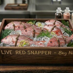 Red snapper fish 40kg