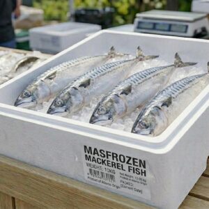 Mackerel Fish 10kg