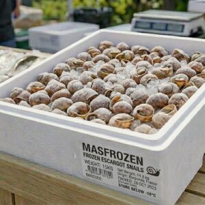 Frozen Snail 15kg